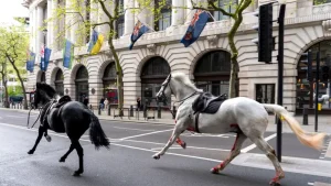 فيديو.. هروب خيول الجيش البريطاني إلى شوارع لندن