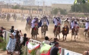 فيديو.. الخيل كلمة السرفي الانتصار على فرنسا.. الجزائر تحتفل بذﻛﺮﻯ الاستقلال ﺍﻟـ62 بالخيول