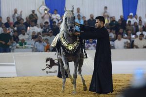 انطلاق مهرجان الخيول العربية الثامن والعشربن بالشرقية.. بمشاركة 4 دول عربية