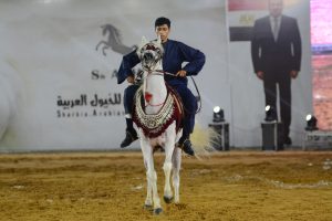 تعرف على النتائج النهائية لمسابقات جمال الخيل بمهرجان الشرقية