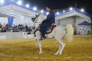 انطلاق مهرجان الخيول العربية الثامن والعشربن بالشرقية.. بمشاركة 4 دول عربية