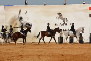 انطلاق مهرجان الخيول العربية الثامن والعشربن بالشرقية.. بمشاركة 4 دول عربية