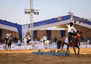 المهره منار رباب تخطف ذهبية بطولة المهرات عمر سنة بمهرجان جمال الخيل بالشرقية