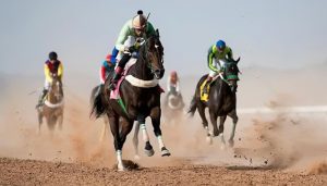 انطلاق موسم سباقات الخيل في القريات برعاية أمير منطقة الجوف